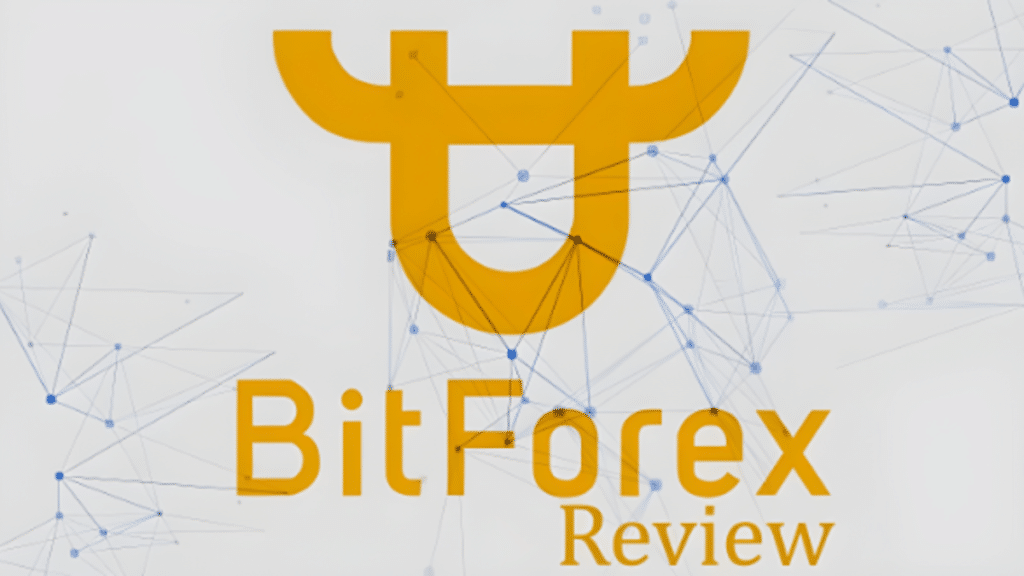 bitforex exchange review