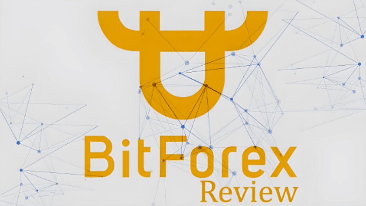 bitforex exchange review