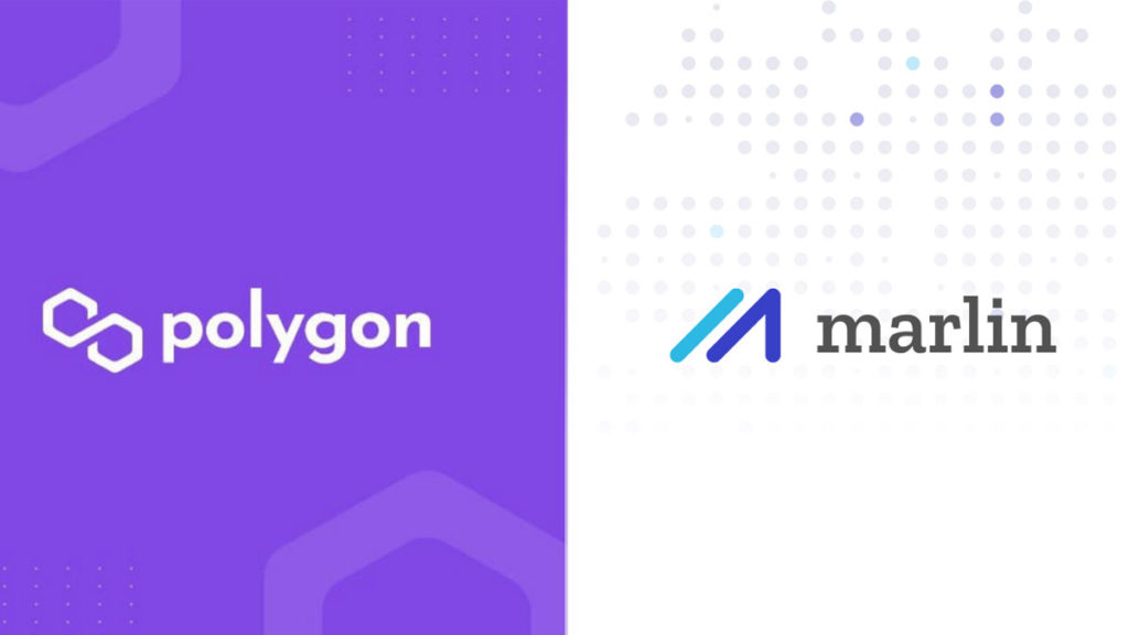 OpenWeaver Will Launch for Polygon; Decreasing the Latencies in Blocks