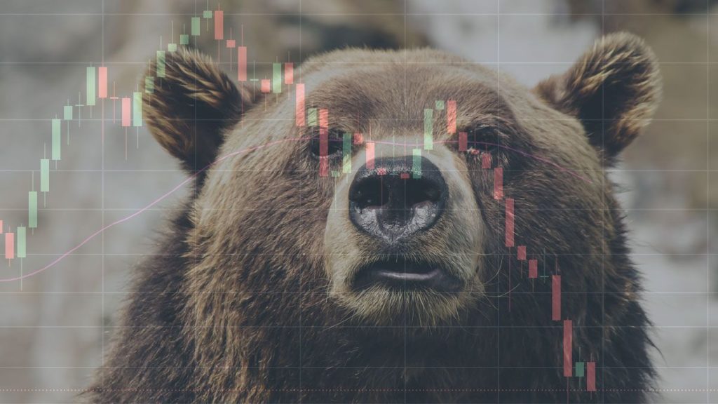 How to Act in a Bear Market? Everything You Need to Know