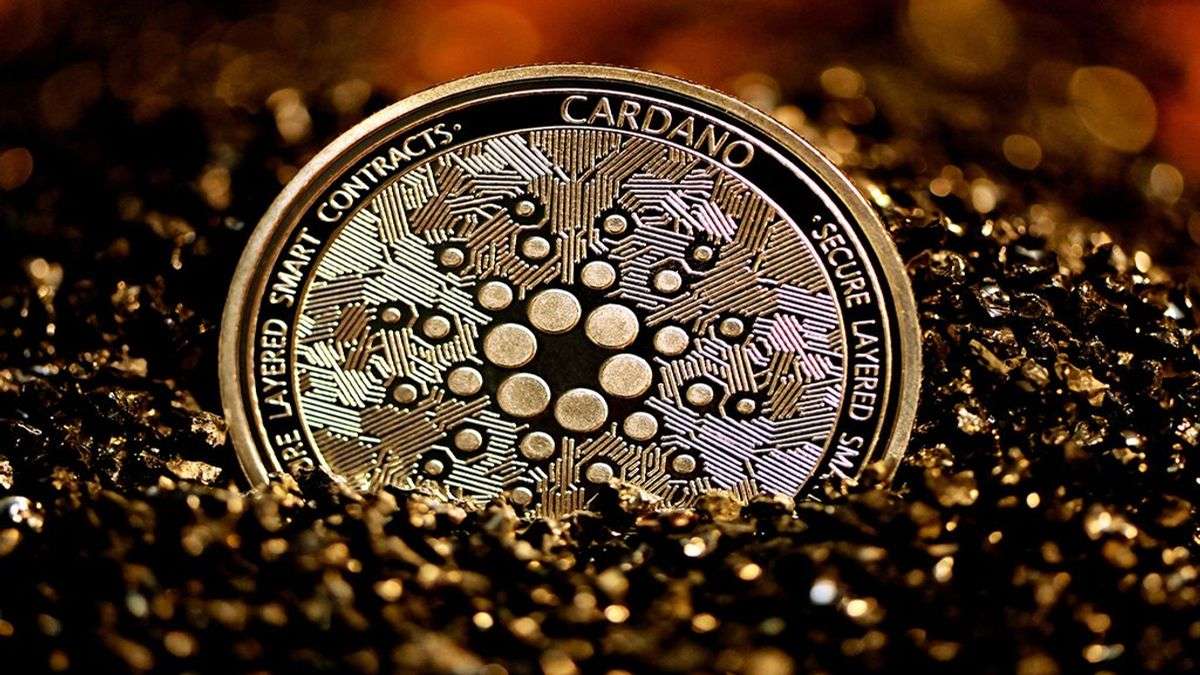 Is Cardano's Vasil Update Near?