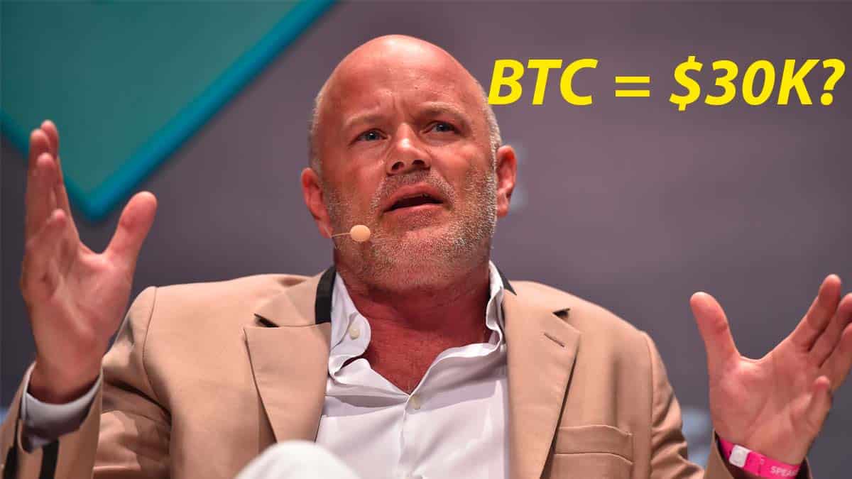 Bitcoin Can Hit $30,000 This Quarter; Mike Novogratz