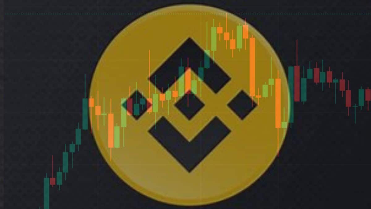 BNB slips 18%, Sellers Press on But Will $212 Hold?