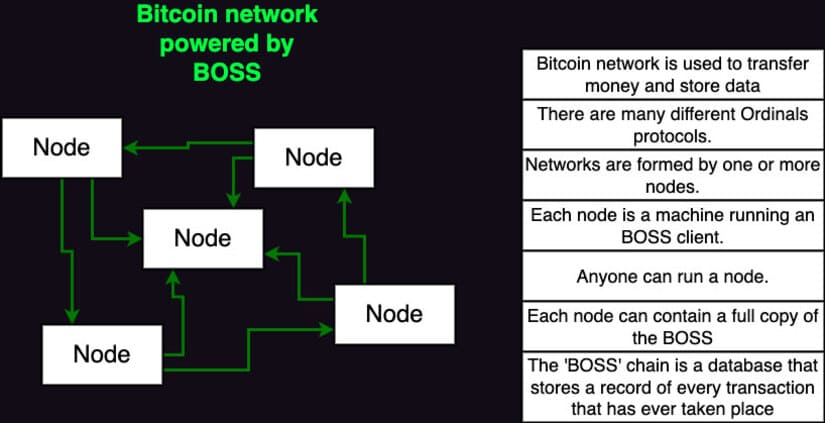 Bitcoin Operational Standard System