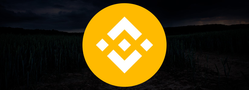 Binance Loses 44% Market Share