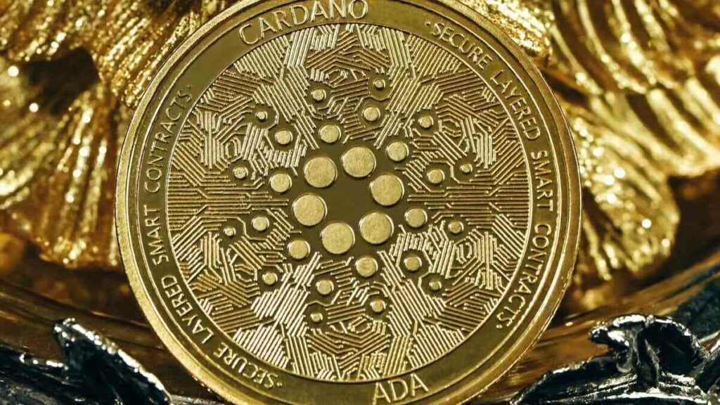 cardano ada whales