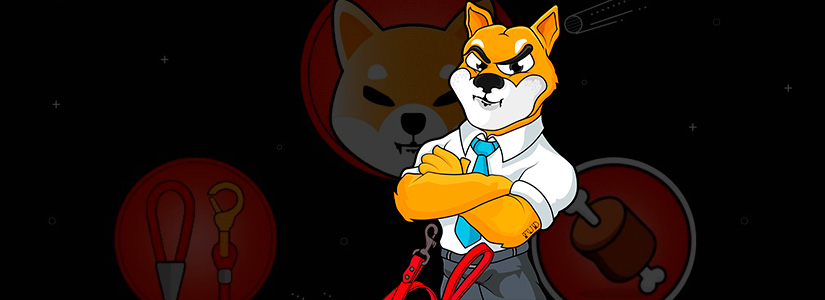 Shiba Creator Announces a New Era on Shibarium