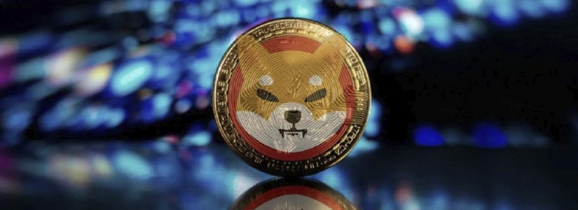 Shiba Inu Burns More Than 264 Million Tokens in a Strategic Move