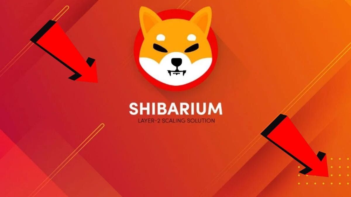 shiba inu shibarium