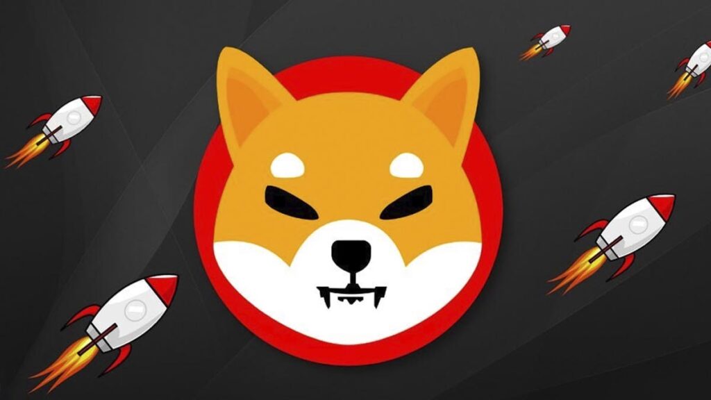 Shiba Inu Exec Teases 2024-2025 Roadmap with Liquid Staking, Layer 3 Testnet, and More