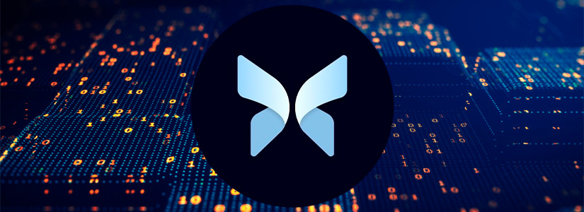 Morpho Debuts on Coinbase’s Layer-2 Network, Base