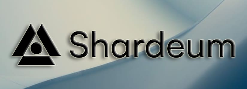 How Does Shardeum Work