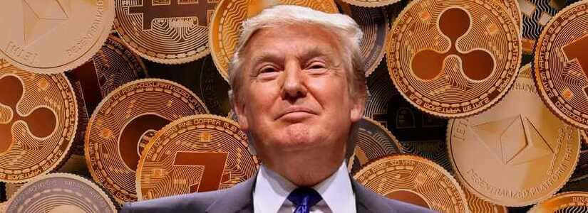 trump bitcoin