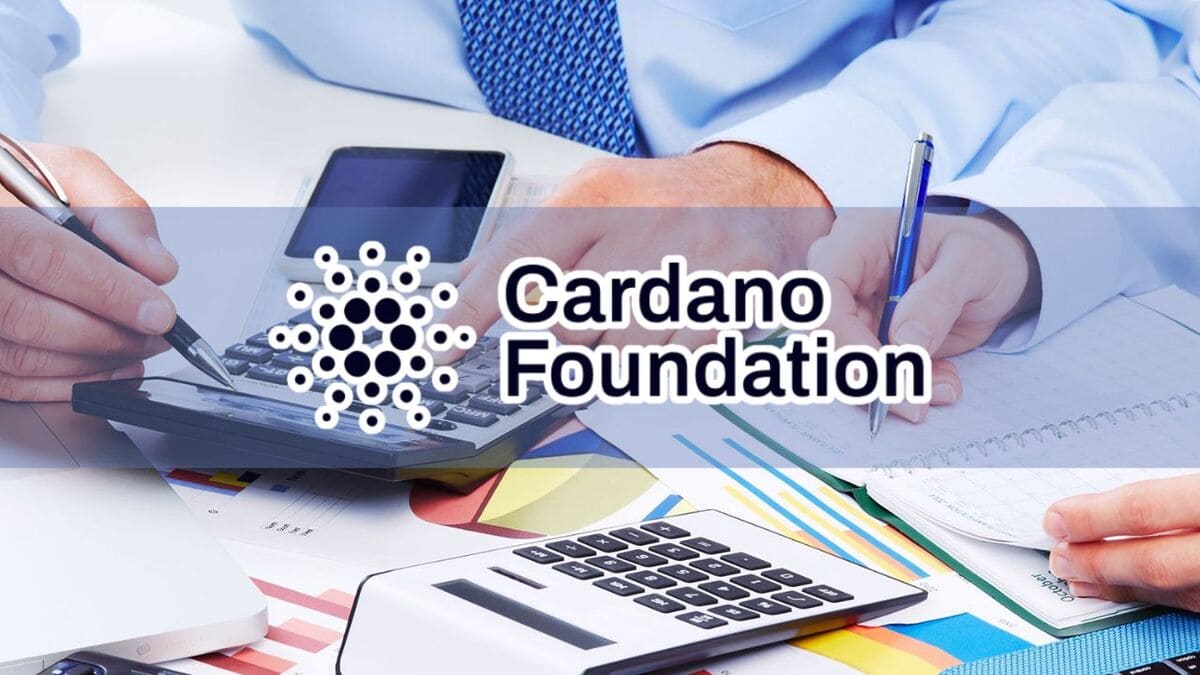 financial report cardano foundation ftr