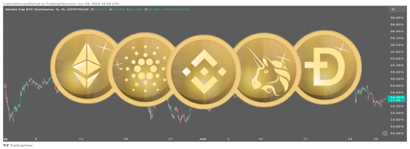 Altcoin Season Is Coming In 2025, Analysts Predict