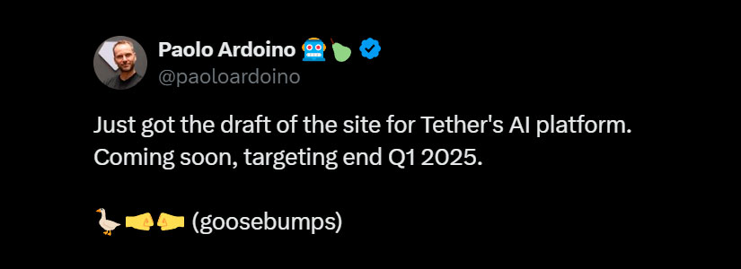 Tether CEO Paolo Ardoino Announces Q1 2025 AI Platform Launch