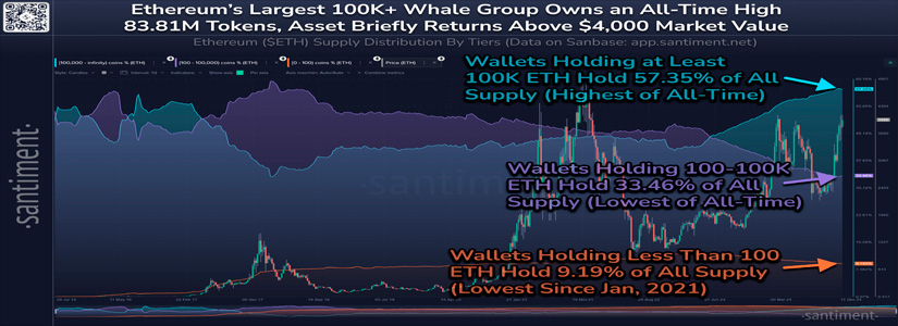 Ethereum Whale Activity at All-Time High, Small Wallets at Historic Low