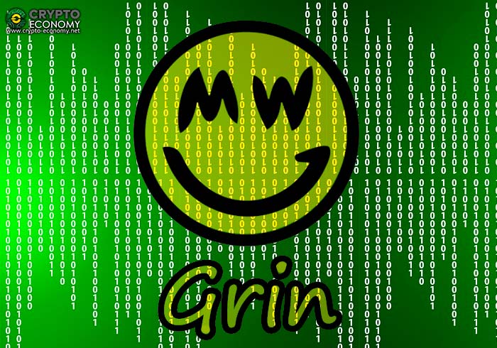 Grin coin