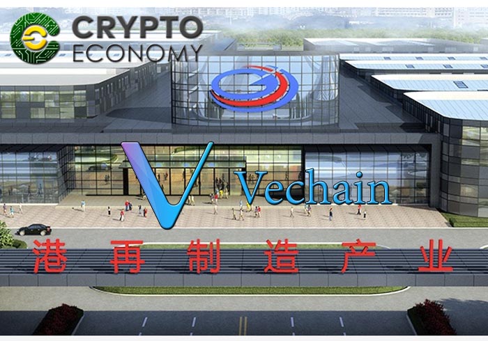 vechain asociacion grupo lingang