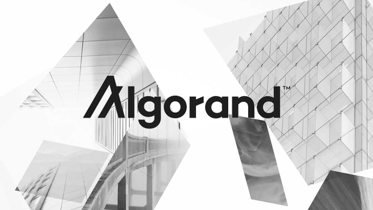 algorand-review