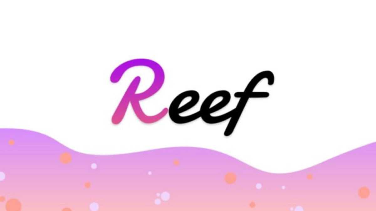 Alameda Research invierte 20 millones de dólares en el proyecto DeFi REEF basado en Polkadot