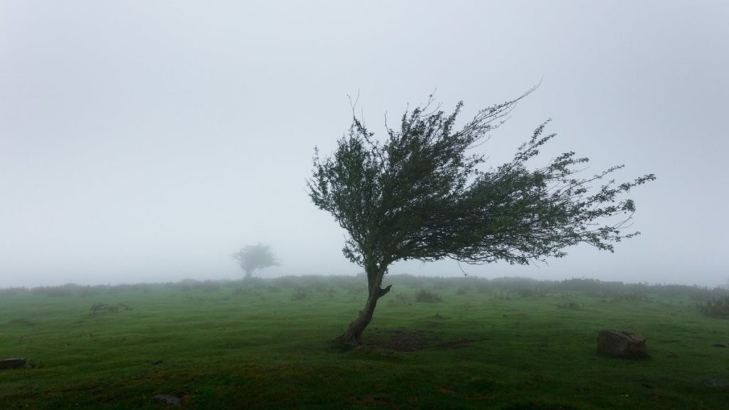 Bitcoin [BTC]: la tormenta se calma pero el FUD se intensifica