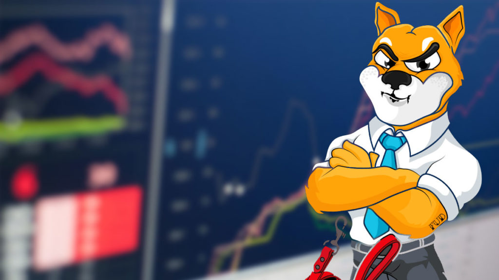 Shiba Inu [SHIB] - La mayor tenencia de tokens ERC-20 entre las principales ballenas Ethereum 1K