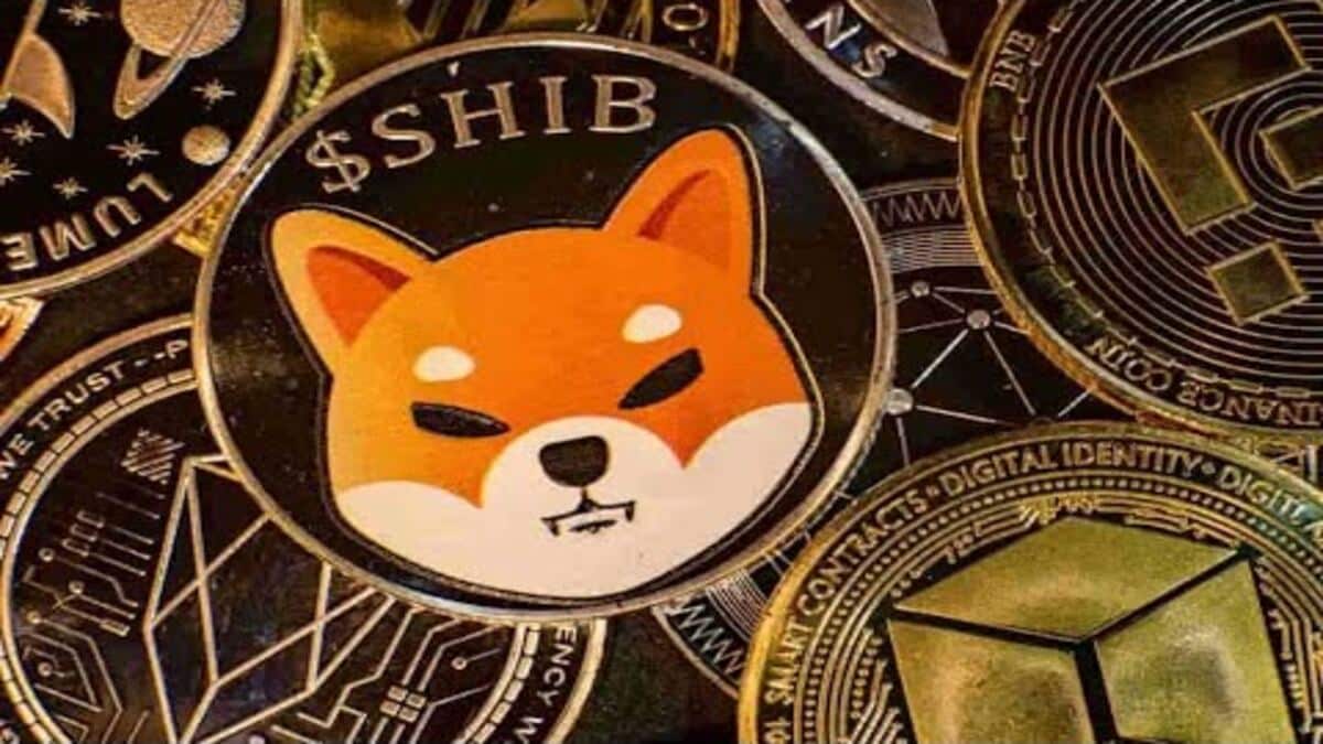 ¿Qué es Shiba Inu y SHIBA Token? El "asesino" de Dogecoin