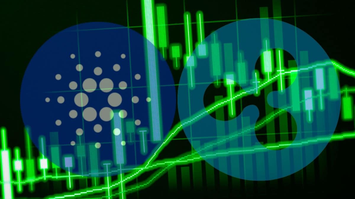 Cardano-ADA-x-Ripple-XRP