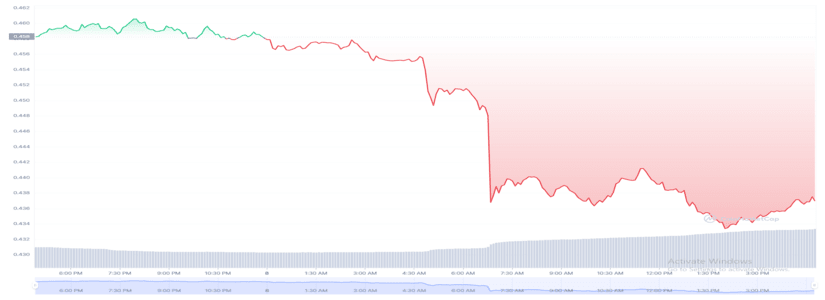 LAS BALLENAS OBSERVAN A RIPPLE (XRP) MIENTRAS EL MERCADO DECLINA