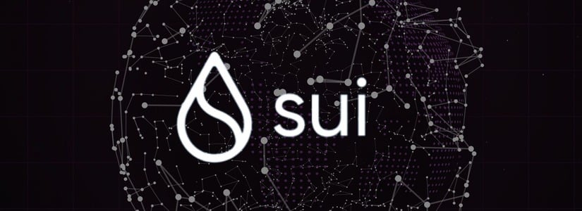 CZ ADVIERTE A JUSTIN SUN Y A LOS WHALES SOBRE EL POSIBLE USO INADECUADO DEL AIRDROP DE SUI