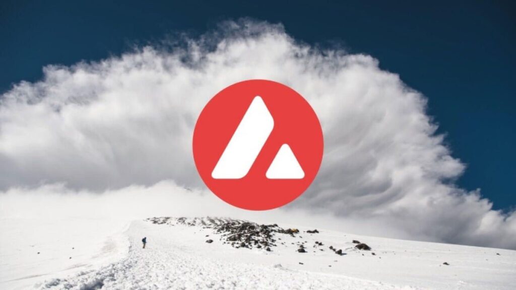 Avalanche Alcanza el Millón de Usuarios Activos Mensuales