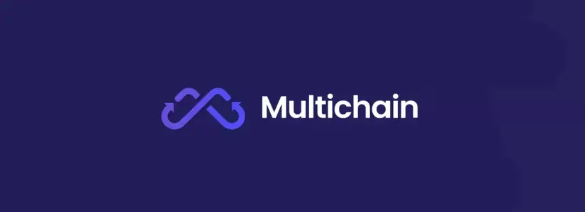 INCERTIDUMBRE SOBRE MULTICHAIN - ¿QUÉ SIGUE?