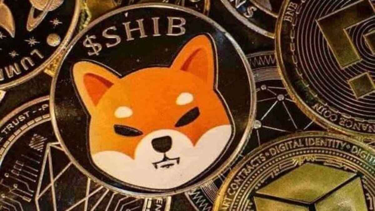 La Tasa de Quemado de Shiba Inu Supera el 1.300%