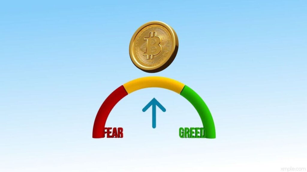 bitcoin miedo codicia