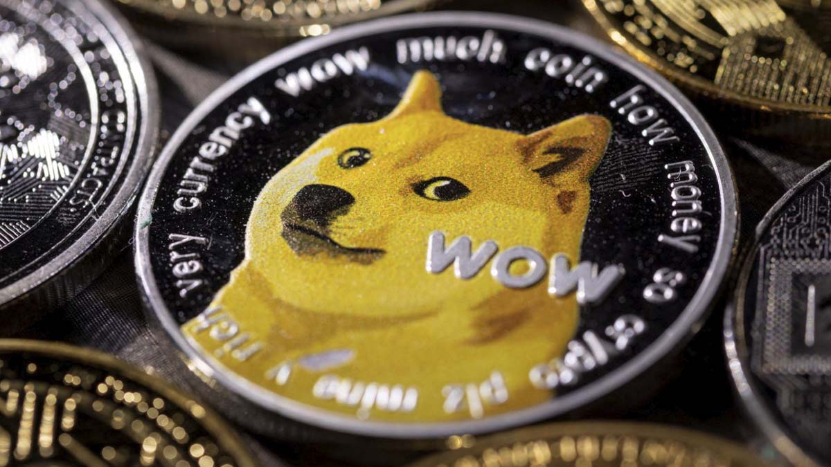 Desplome en el Volumen y Actividad de Ballenas de Dogecoin (DOGE): ¿Se Acerca el Fin del Meme?