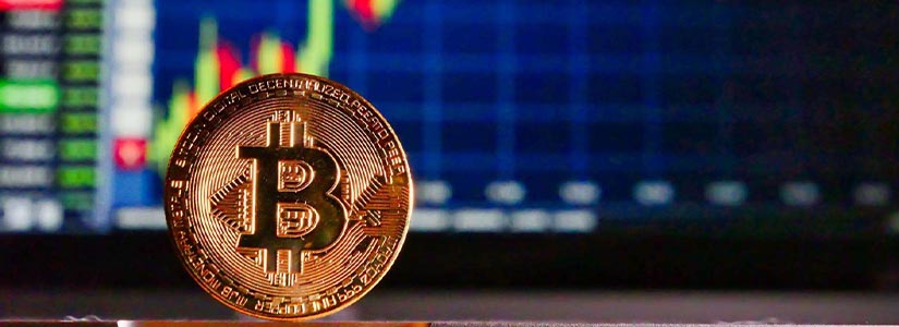 Oscilaciones del Precio de Bitcoin: Pánico entre los Inversores a Corto Plazo, Firmeza de los Inversores a Largo Plazo