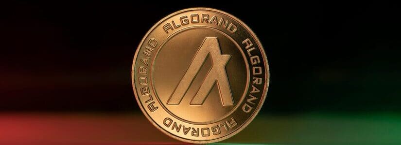 algorand algo RWA