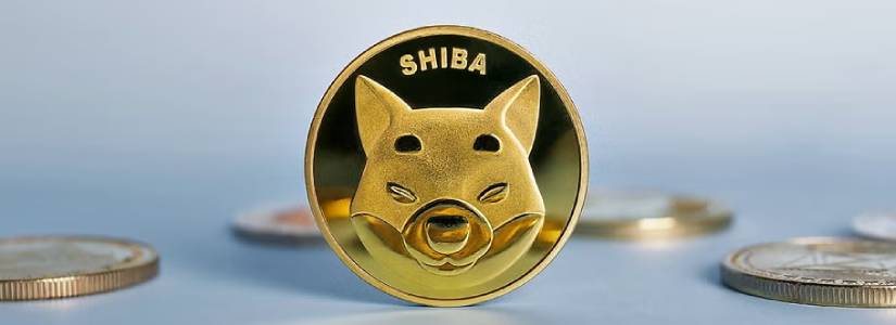 Shiba Inu ETF Debate: Advantage or Disadvantage for DeFi?