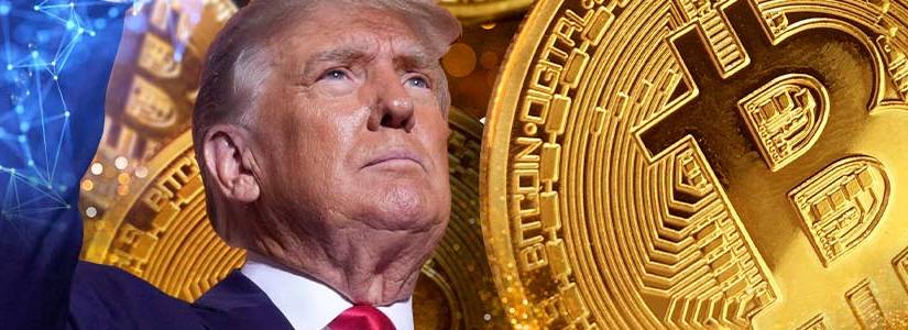 donald trump bitcoin bitfinex