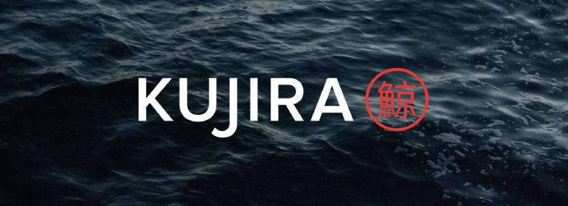 Kujira: El Token se Desploma un 47% Tras Masiva Liquidación, el Equipo Informa Ataques