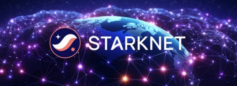 CEO de Starknet Dimite Repentinamente Tras Menos de 2 Años: ¿Qué Está Pasando?