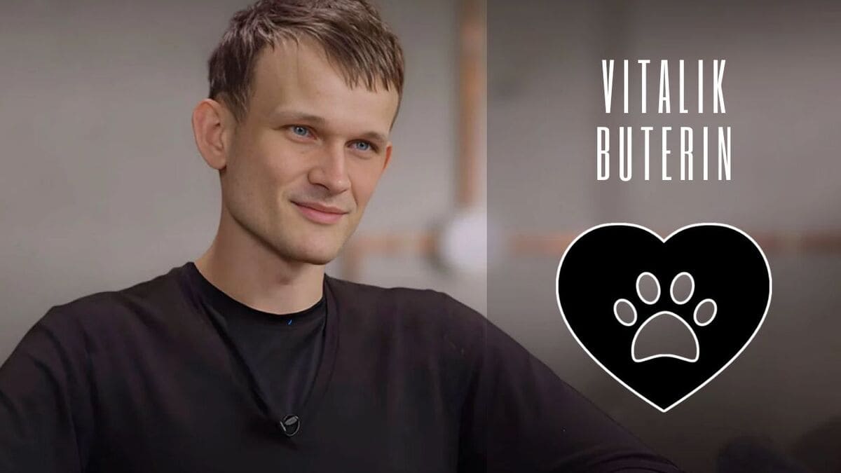 vitalik buterin memecoins