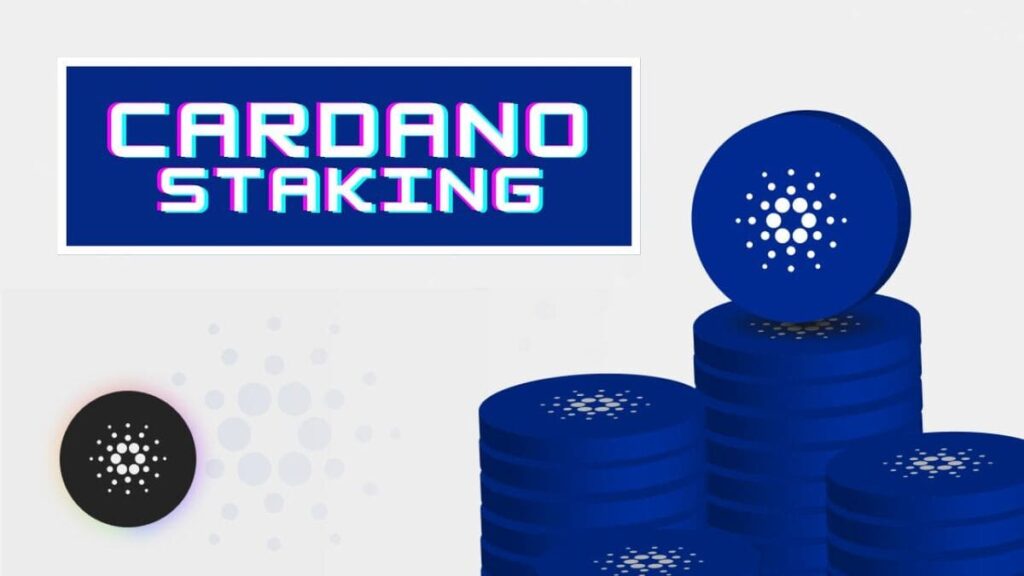 cardano staking