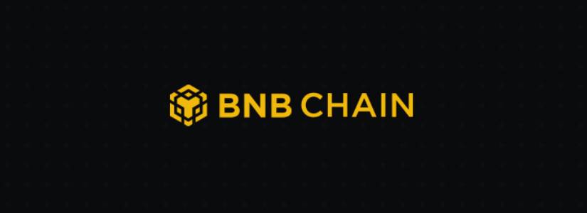 New BNB Chain Incentives Boost DeFi TVL and NFT Activity as Multichain Plans Develop