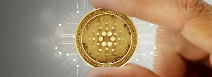 Cardano drops 7% today, but maintains a strong 70% weekly rally