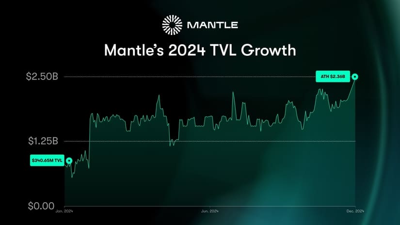 Mantle TVL post