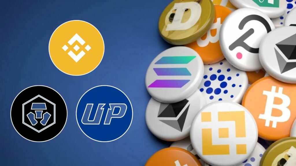 Crecimiento Significativo en el Volumen de los Exchanges Cripto Durante el Cuarto Trimestre: Binance Mantiene el Primer Lugar