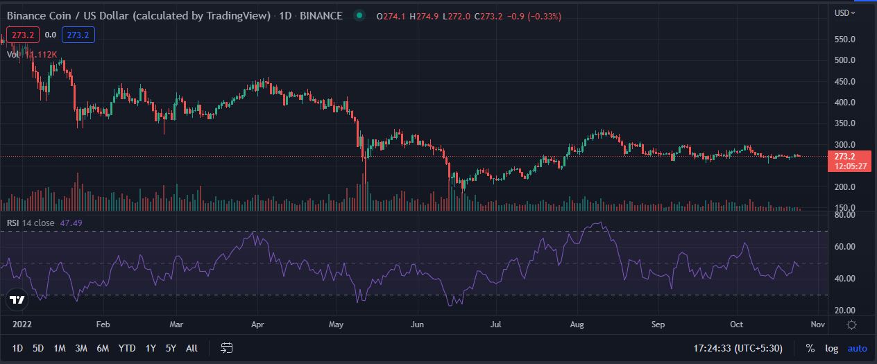 BNB remains relatively stable. What will happen to its price in the coming weeks?