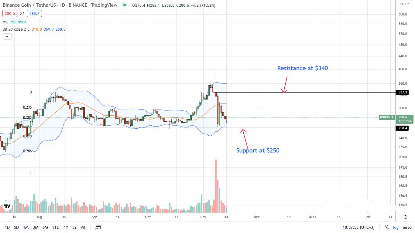 BNB Daily chart for November 14